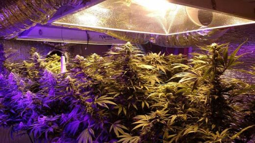 Heat A Grow Room