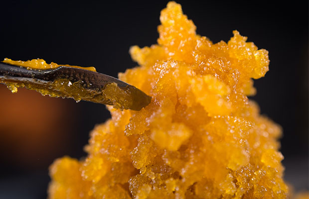 Live Resin