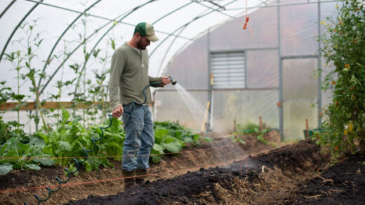 greenhouse